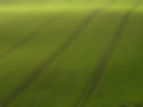 Arial View of Green Field